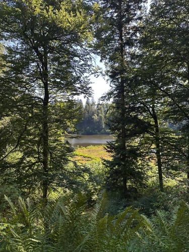 Kälbelescheuer-Nonnenmattweiher