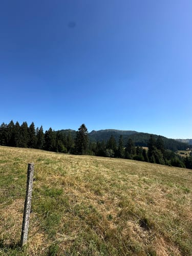 Kälbelescheuer-Nonnenmattweiher