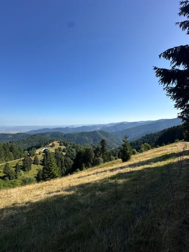Kälbelescheuer-Nonnenmattweiher