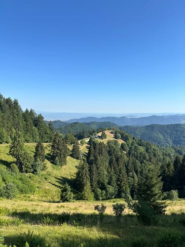 Kälbelescheuer-Nonnenmattweiher