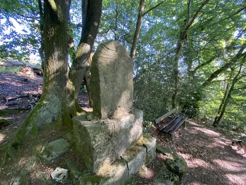 Herrmannsweg Etappe 8: Detmold - Horn-Bad Meinberg