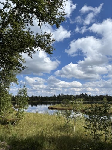 Kaltenbronn Rundweg 1