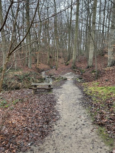 Dieksee Rundweg