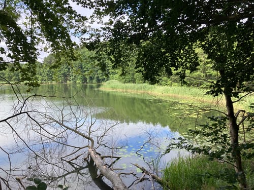 Fontaneweg: Rund um den Tornowsee