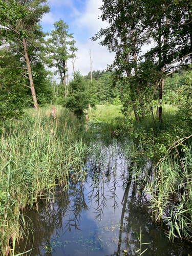 Fontaneweg: Rund um den Tornowsee