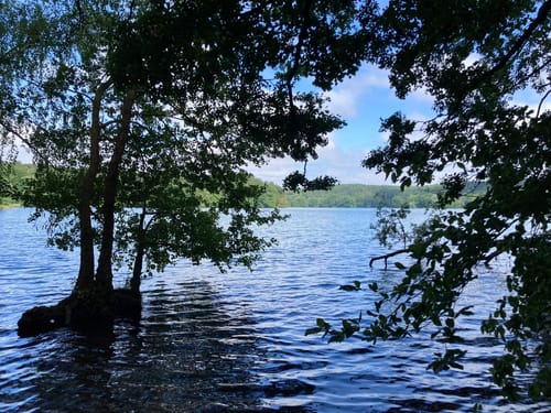 Fontaneweg: Rund um den Tornowsee