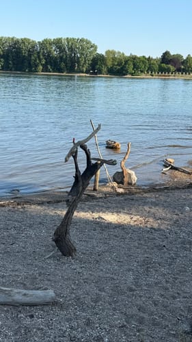 Wiesbaden - Eltville am Rhein - Kiedrich