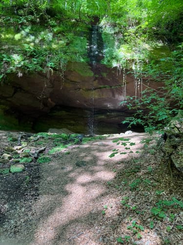 Durchs Langenbachtal zur Bärenhöhle