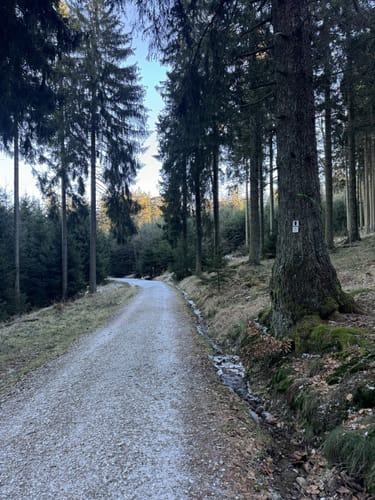 Großen Feldberg