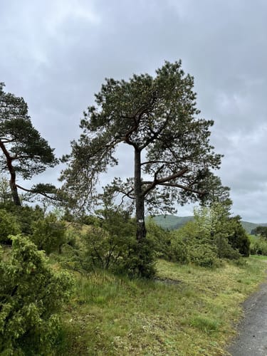 Lahnhöhentour (Extratour)