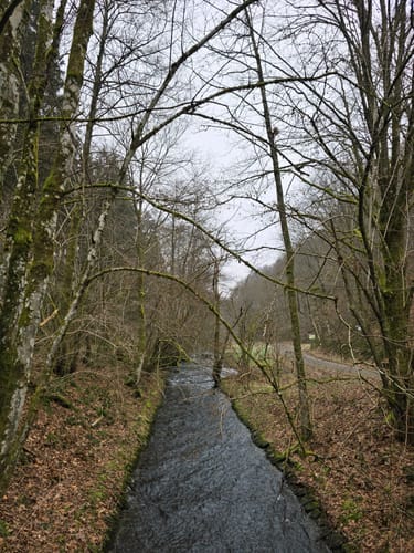 Almglück (Traumschleife)