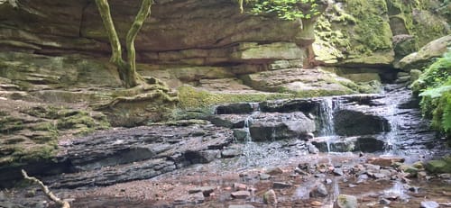 Durch das Monbachtal nach Monakam