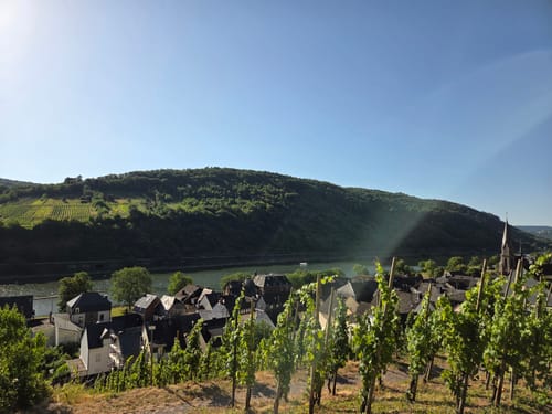 Felsen.Fässer.Fachwerk (Moselsteig Seitensprung)
