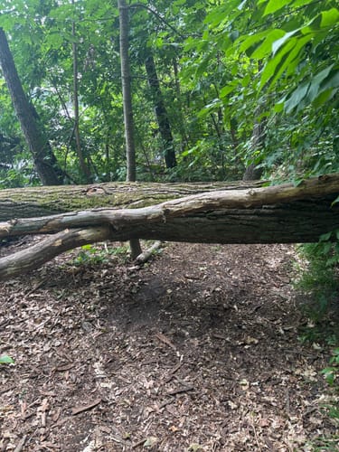 Bötzsee Rundweg