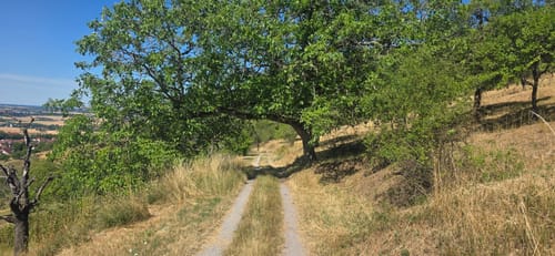 Panoramawanderung Mönchberg - Kayh