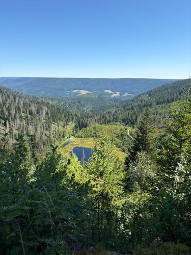 Rund um den Huzenbachsee