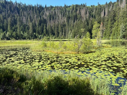 Rund um den Huzenbachsee