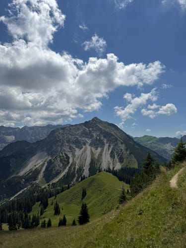 Über die Sonnenköpfe