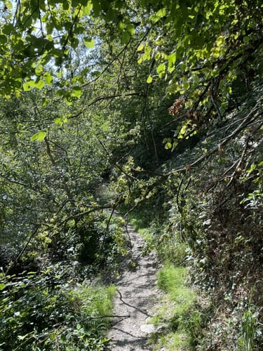 Tatzelwurmweg