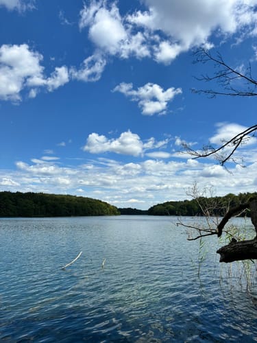 Um den Liepnitzsee
