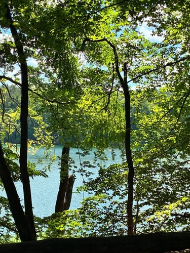 Um den Liepnitzsee