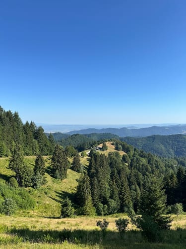 Kälbelescheuer-Nonnenmattweiher