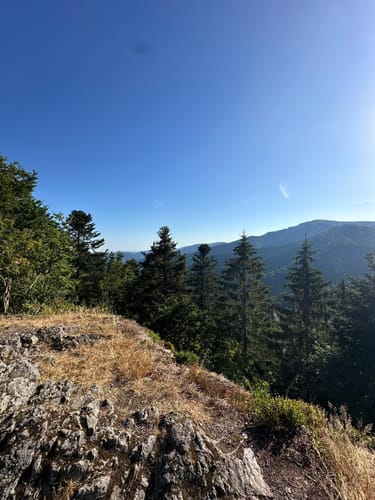 Kälbelescheuer-Nonnenmattweiher