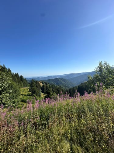 Kälbelescheuer-Nonnenmattweiher