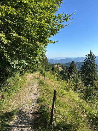 Kälbelescheuer-Nonnenmattweiher