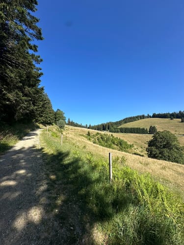 Kälbelescheuer-Nonnenmattweiher