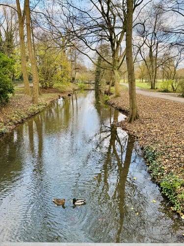 Volksgarten Düsseldorf