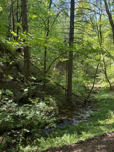 Von Veilbronn durch das Leidingshofer Tal