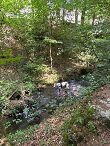Von Veilbronn durch das Leidingshofer Tal