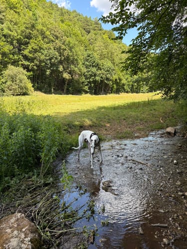 Von Veilbronn durch das Leidingshofer Tal