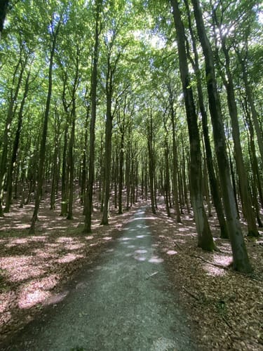 Hagen - Königsstuhl - Lohme