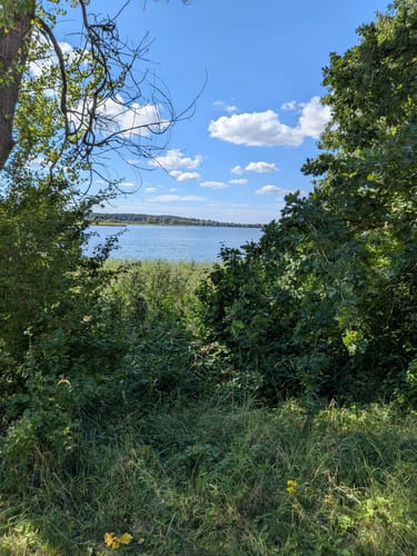 Ecktannen - Warnker See - Feisnecksee