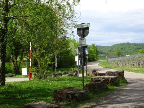Von Wasser und Wein (WT2)