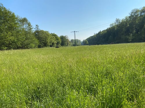 Tiefenthaler Höhe (Hiwweltour)