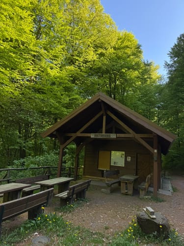 Sentier à Saute-Frontière