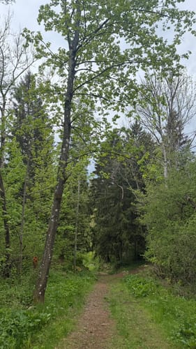 Schönecker Schweiz Rundweg