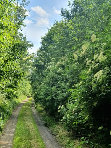 Teichrunde bei Mönau
