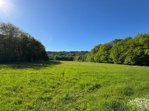 Rund um Pfaffenberg