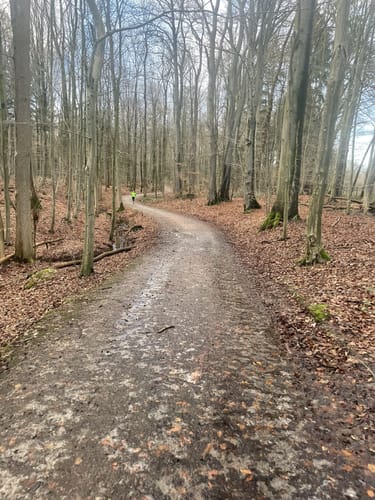 Schlosspark und Schloss Rastede