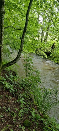 Rundweg Goldener Kopf
