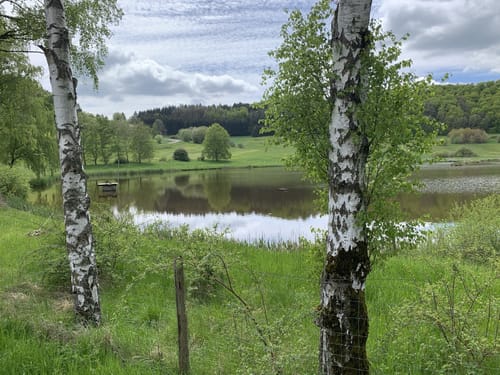 Waldschluchtenweg (Traumpfad)