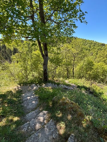 Donaufelsen-Tour (DonauWelle)