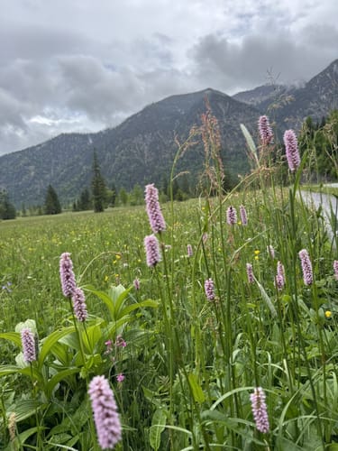 Meditationsweg Ammergauer Alpen Etappe 6: Kloster Ettal - Linderhof