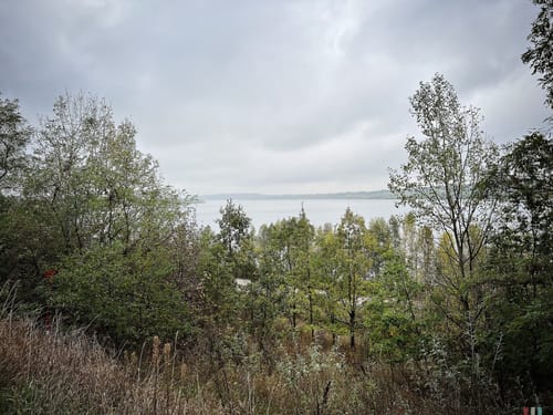 Wandern um den Geiseltalsee