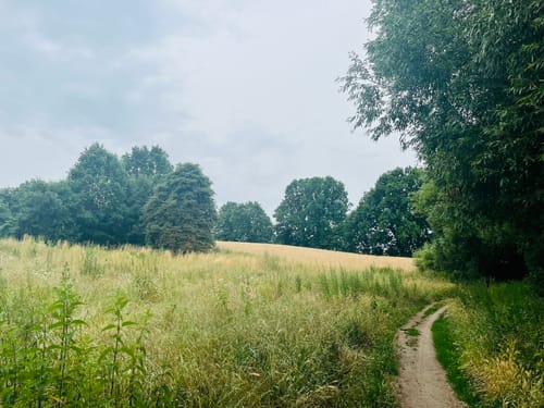Lübarser Weg