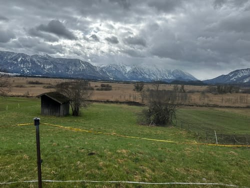 Moos-Rundweg bei Murnau